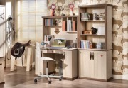 cil-royal-bookcase-and-writing-table-meble-dla-dziecka-meble-dla-mlodziezy-compress.jpg